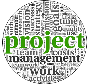 proj mgt